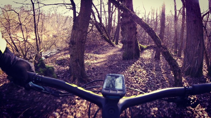 86174548-2776247572454688-60079324355583