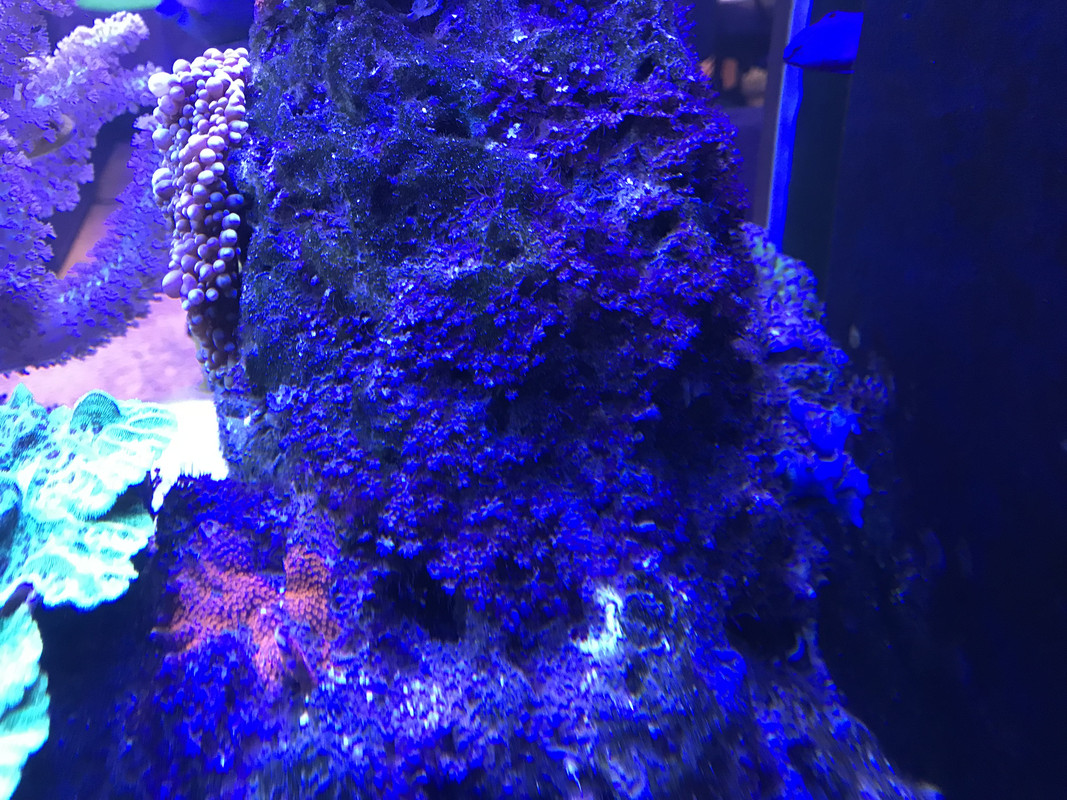 F6BF1344-9F36-45F7-ACD7-5CA929D72C10