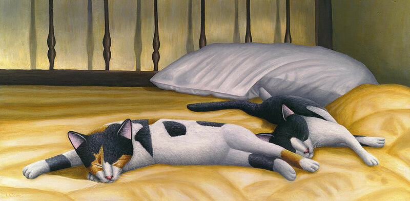 07-cats-sleeping-on-big-bed-carol-wilson