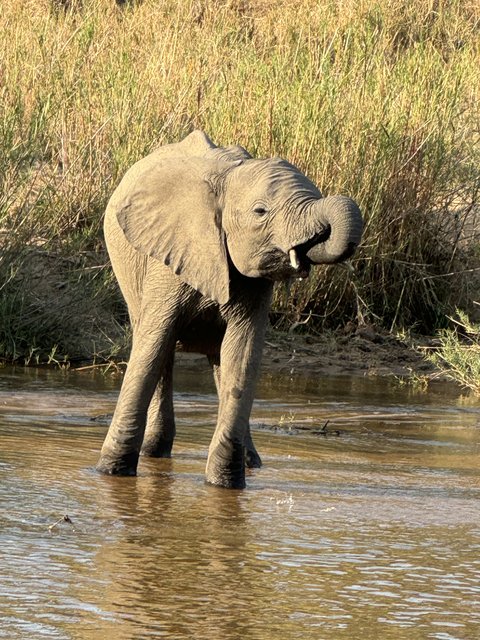 [Linked Image from i.postimg.cc]