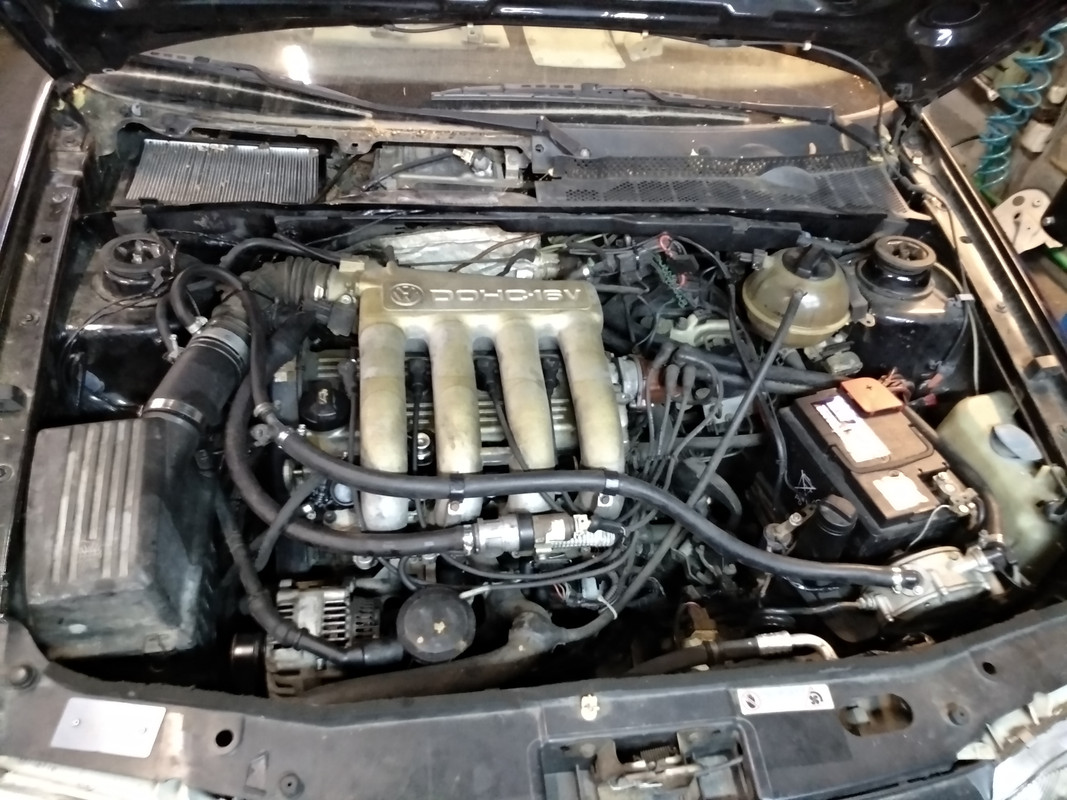 IMG_20181108_162016_HHT