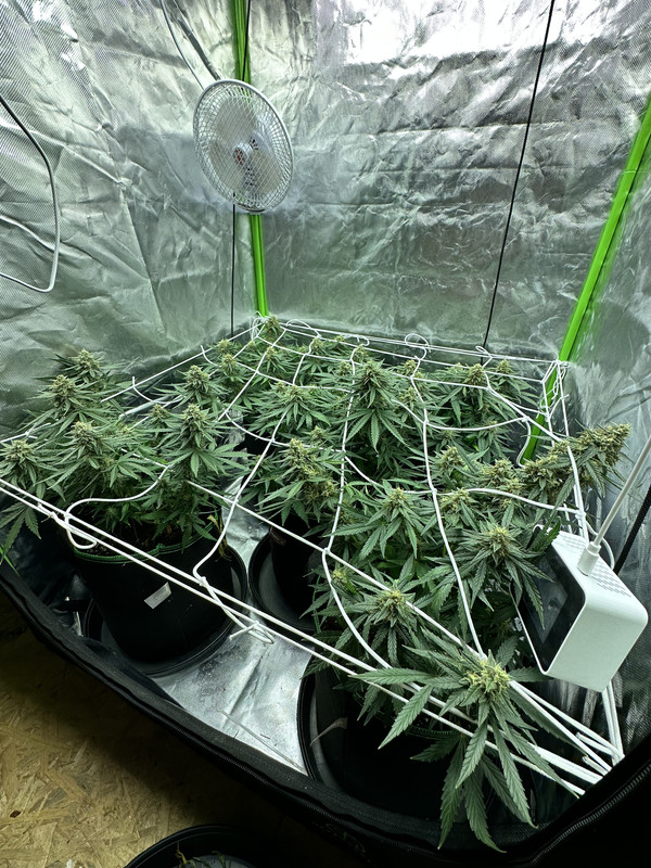 85B613F8-C365-429A-85A7-9BEDA18A9B67