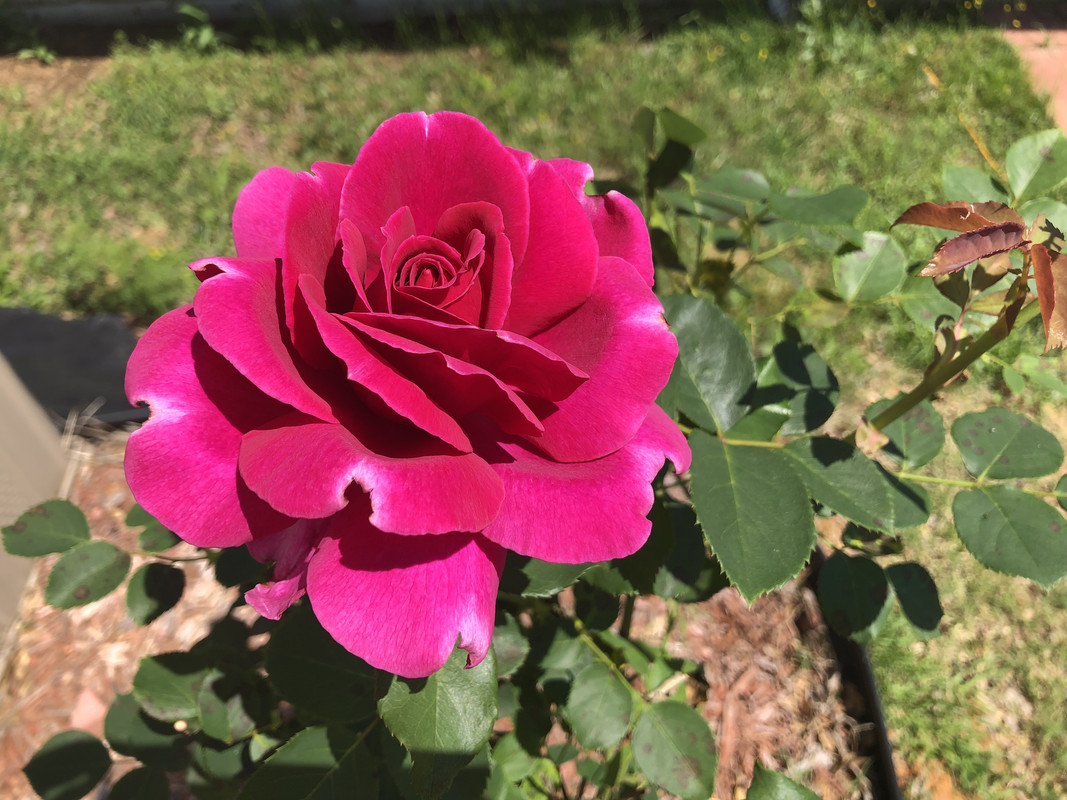 0B581AD3-9906-42B0-B4F0-9617DC4B1D67