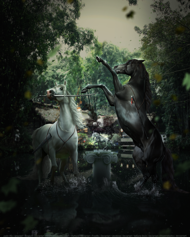 Yin and Yang_20250529140100