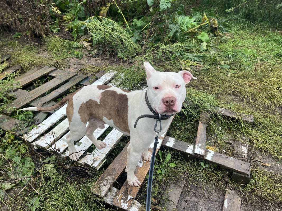 E06B9043-0F57-4532-AA33-C00D3C3686C3