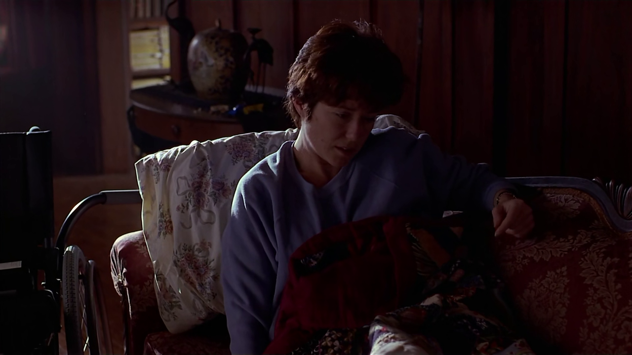 Passion Fish 1992 1080P Web Dl HEVC Tornment666