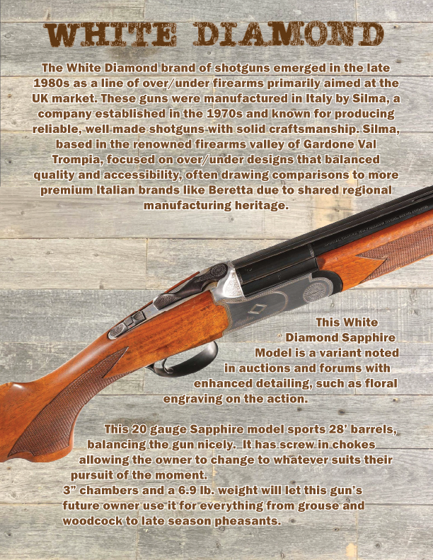 [Linked Image from i.postimg.cc]