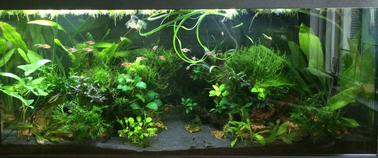 1DA49CEC-911B-499D-A0D9-082F293F258F