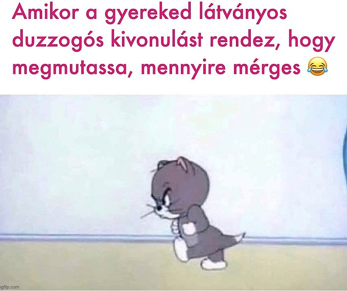https://i.postimg.cc/m2n2W3Sy/amikor-a-gyereked.jpg