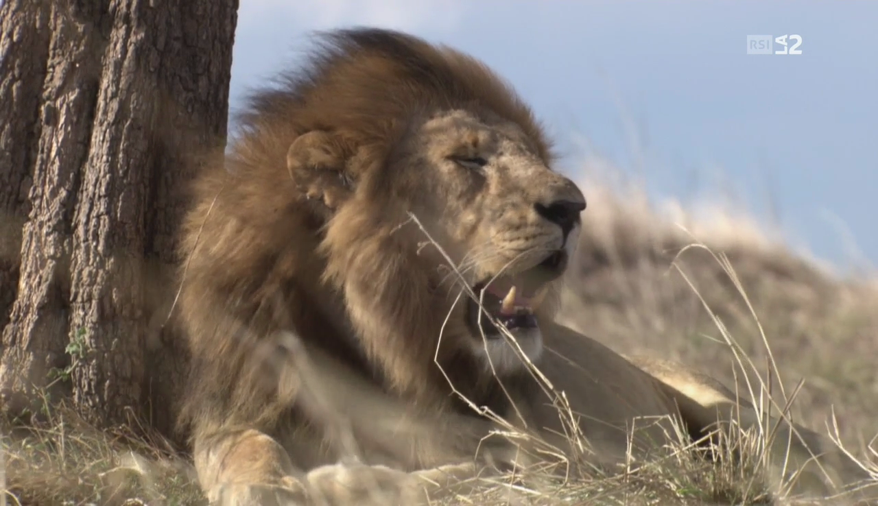 vlcsnap-2016-12-11-08h25m49s197