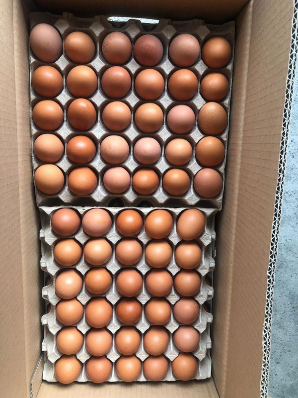 Small size eggs 43g per tray — great value for bakeries and bulk buyers