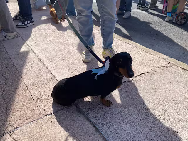 [Image: temp-Image5dv-OBL.avif]