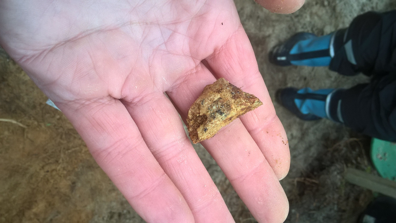 WP_20171001_12_06_19_Pro (1)