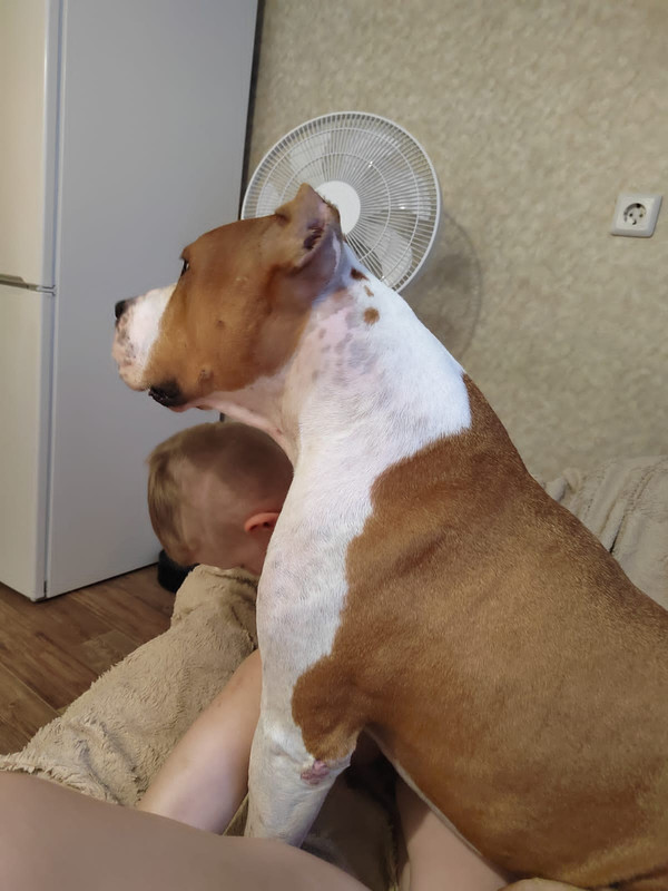 26C7F019-3A2F-40F1-A19B-BE657CE99B6A