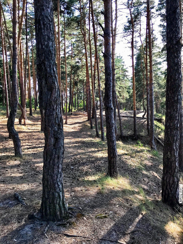 02DE84C0-B092-4422-850E-54F71D534F05