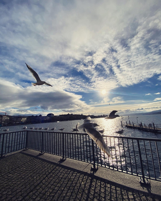 698CEAB2-C292-46C6-860A-A7EC677E8F1D