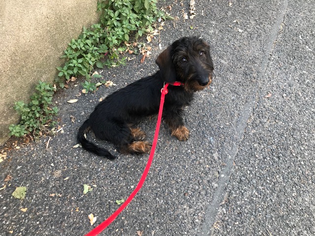 [Image: IMG-3415.jpg]