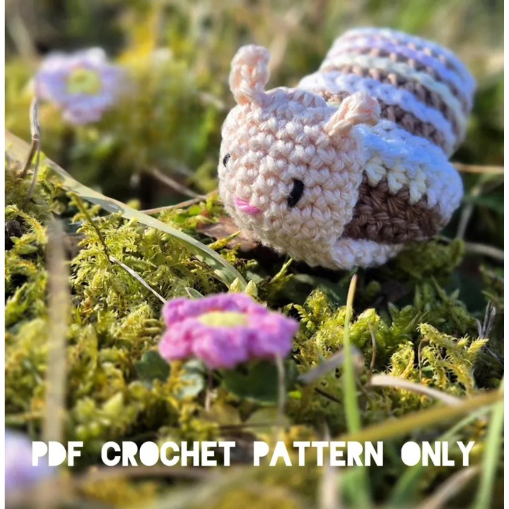 Little Snail Hovered