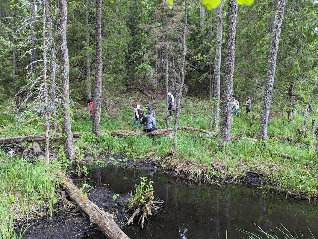 PXL_20230603_100950784