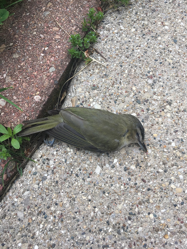 456083E1-FE27-439E-A40D-4692295B1BBB