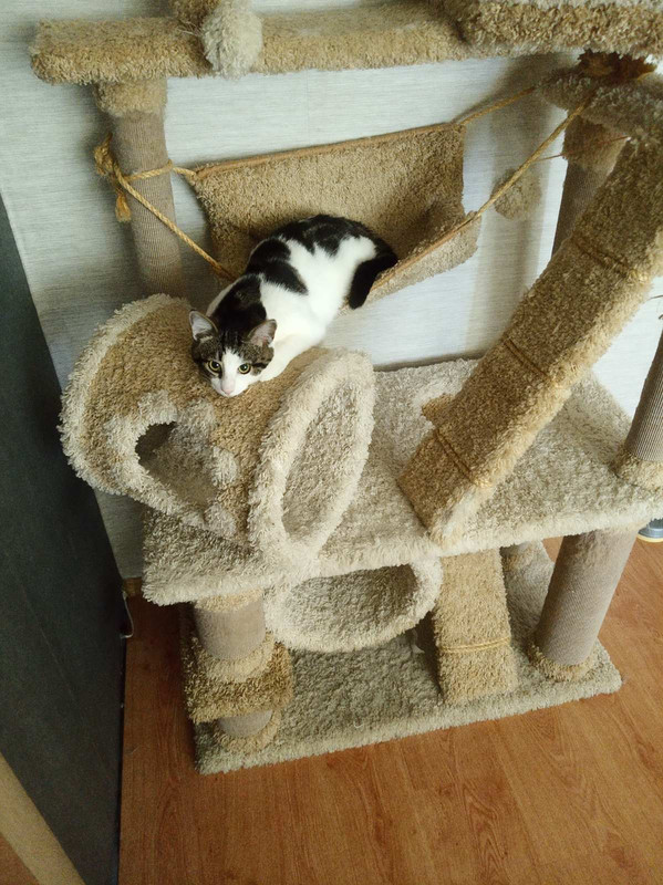 изображение_viber_2021-06-10_14-26-04-849