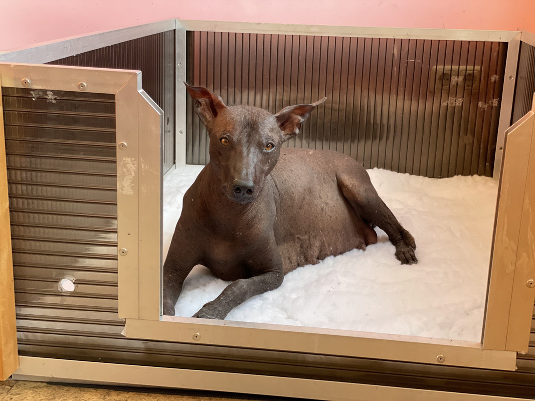 2CFA95B9-AD91-4A9B-9CBD-9E799C8EDD28