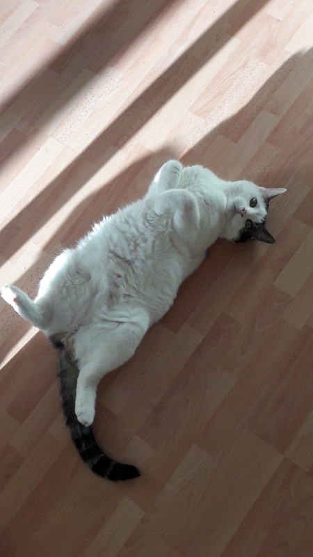 1032DC90-9B6E-41F1-9EA7-00D9736493D7