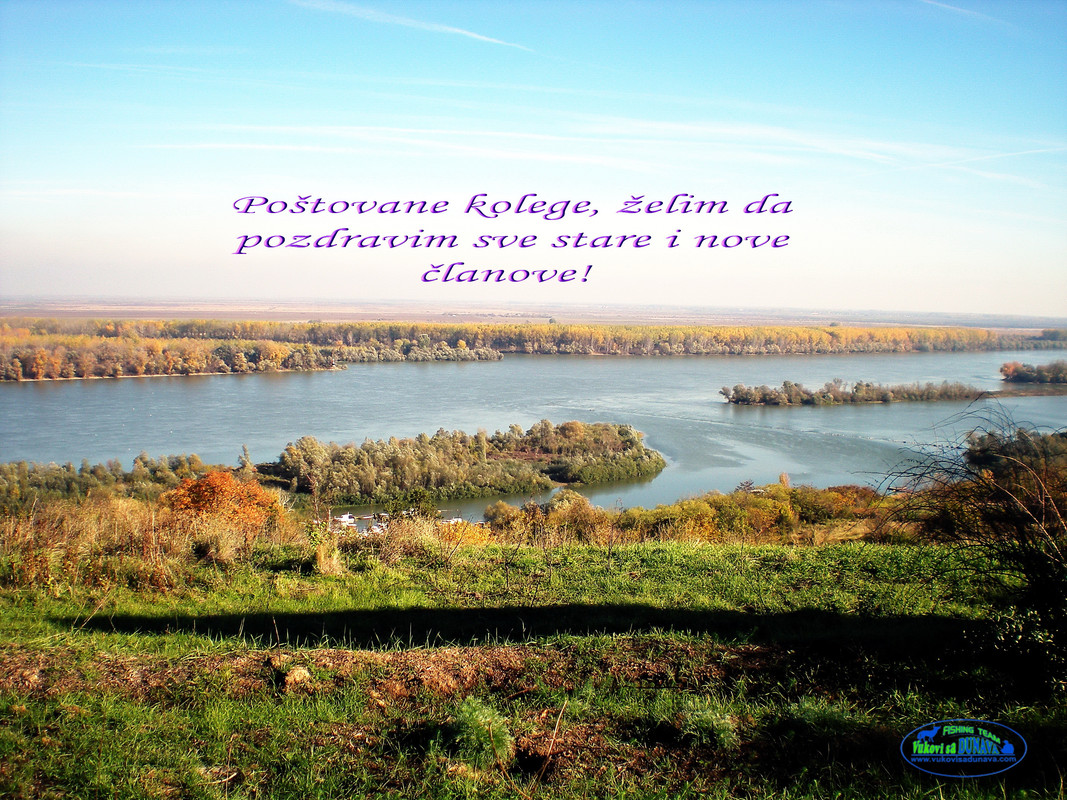 Usce izoštrena.