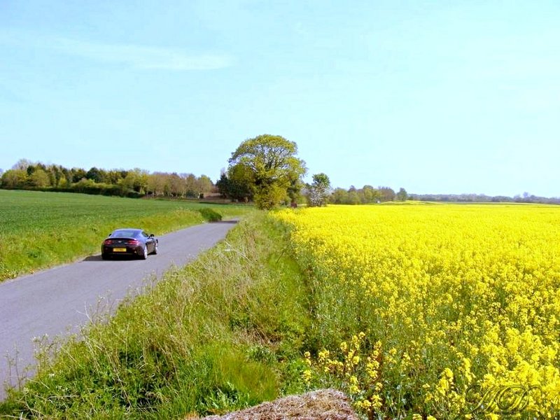 the-rape-fields-in-the-lane-and-maser-HD.jpg