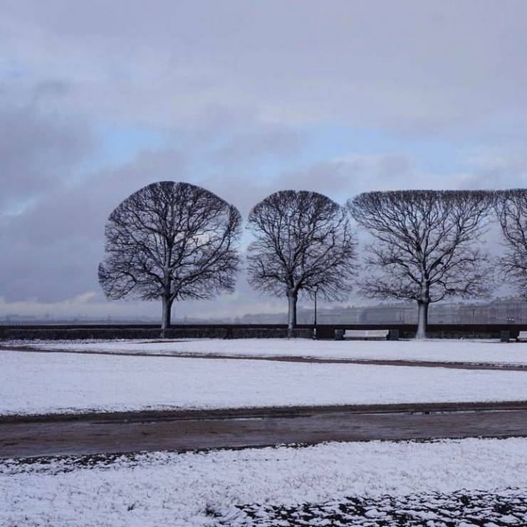 18 фото для перфекционистов с очень крепкими нервами