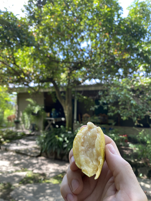 9845C672-2149-4AFC-9A91-F8305CA3361E