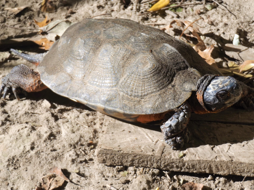 DSCF9816-2.jpg