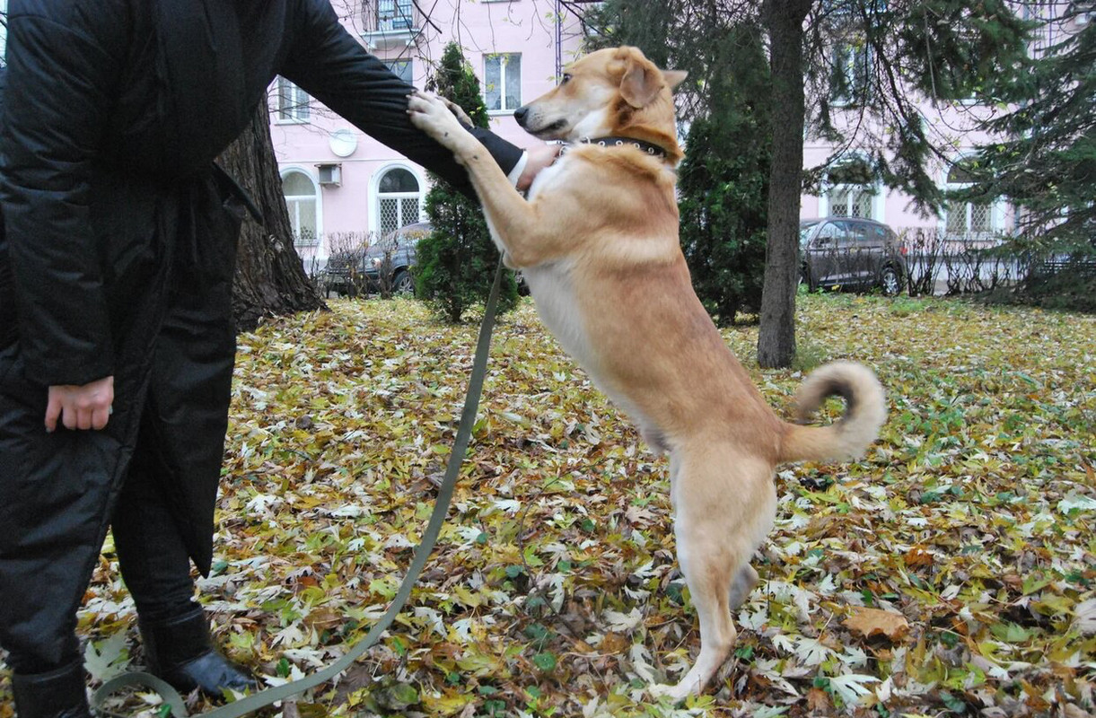 06DCF0AE-37B3-40AA-8605-368CA64D1E2C