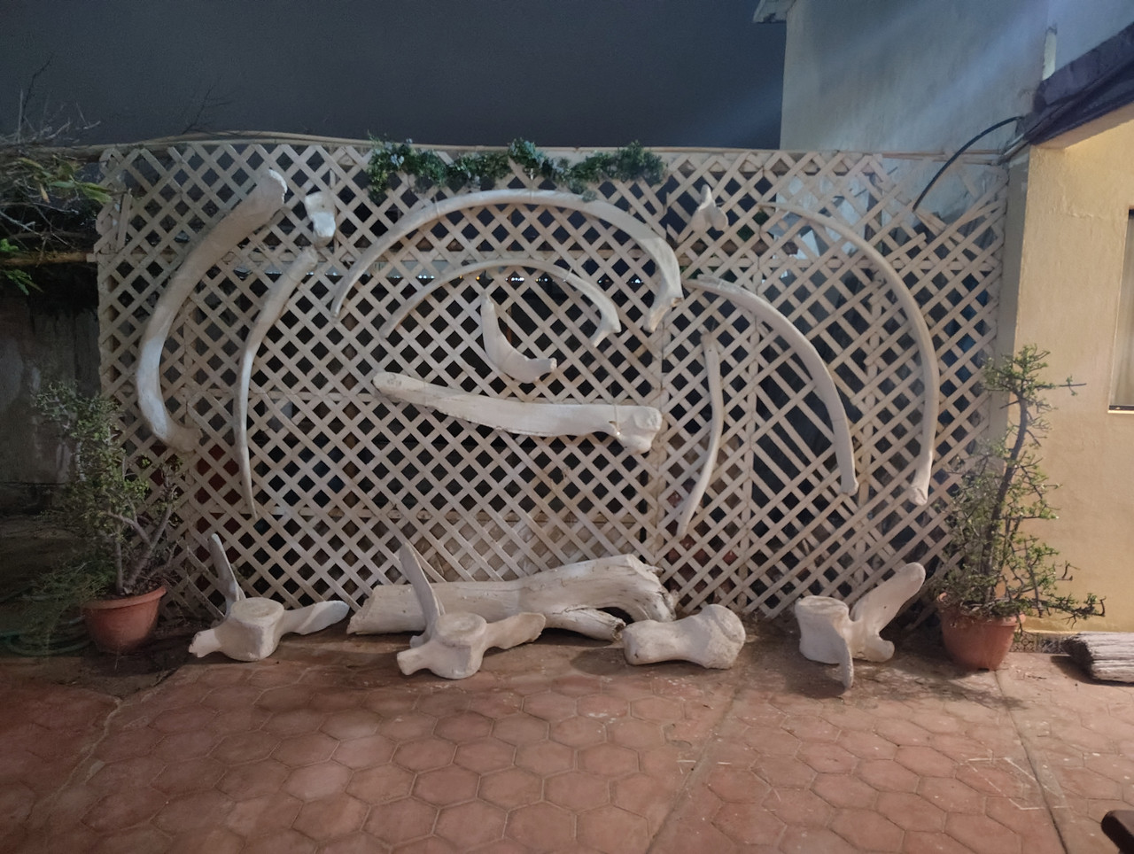 IMG 20251109 060438002 HDR