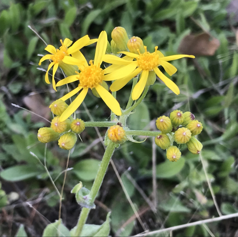 7A52081F-1DDE-45B9-A69B-AB71D70021EE