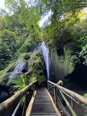 6 Aviones, 3 barcos y 2 trenes, empezando en Estambul y terminando Kuala Lump - Blogs de Indonesia - TERCERA PARADA: BALI (112)