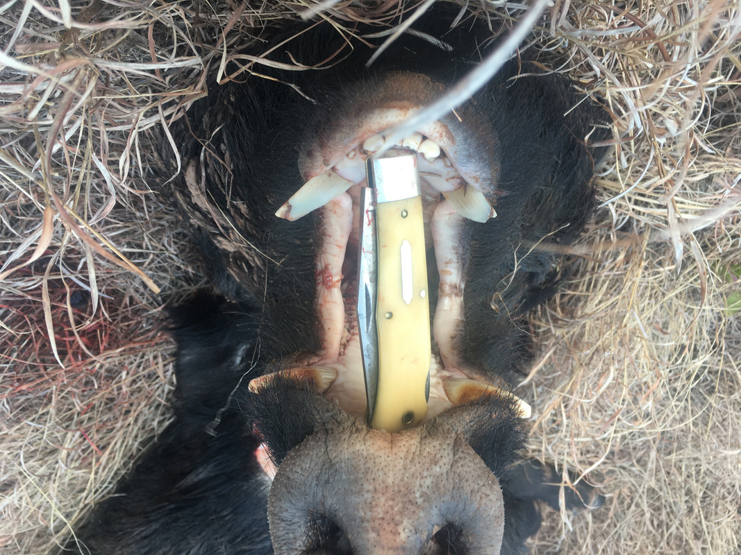 1D0CD30F-CA13-4279-A355-238A42F12223