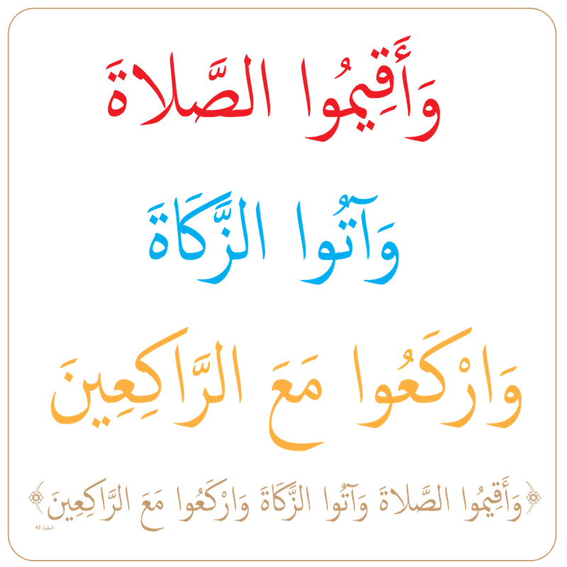 (وَأَقِيمُوا الصَّلاةَ وَآتُوا الزَّكَاةَ وَارْكَعُوا مَعَ الرَّاكِعِينَ)-01