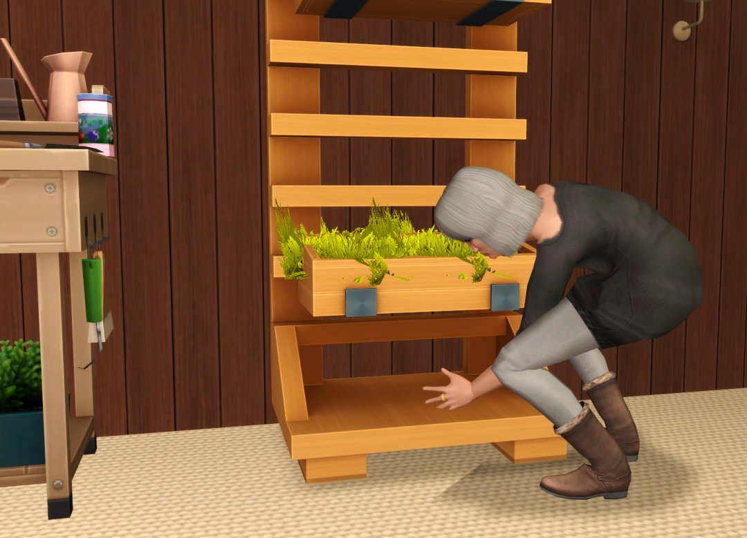 Sims2-EP9-RPC-2023-09-29-21-24-11-69