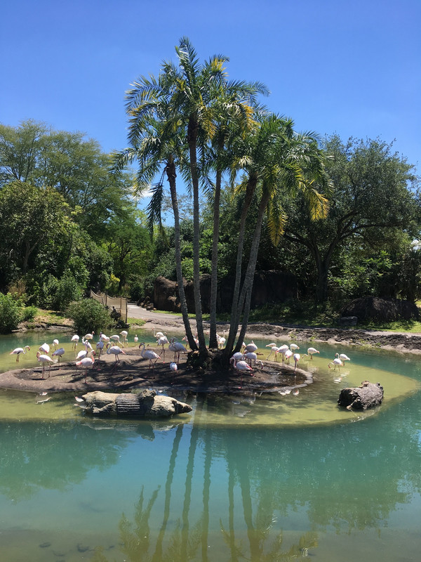 B6BE48EE-F815-477B-AA5C-AD6CA60390B6