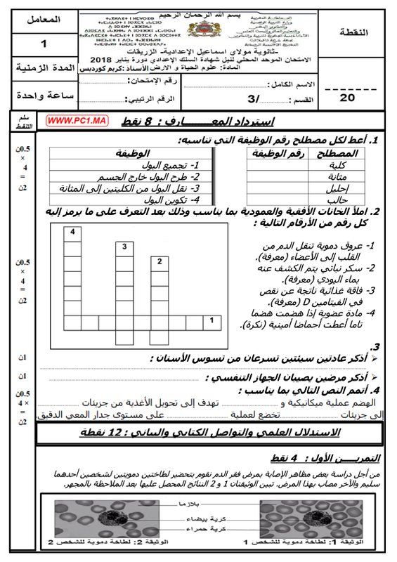 صورة
