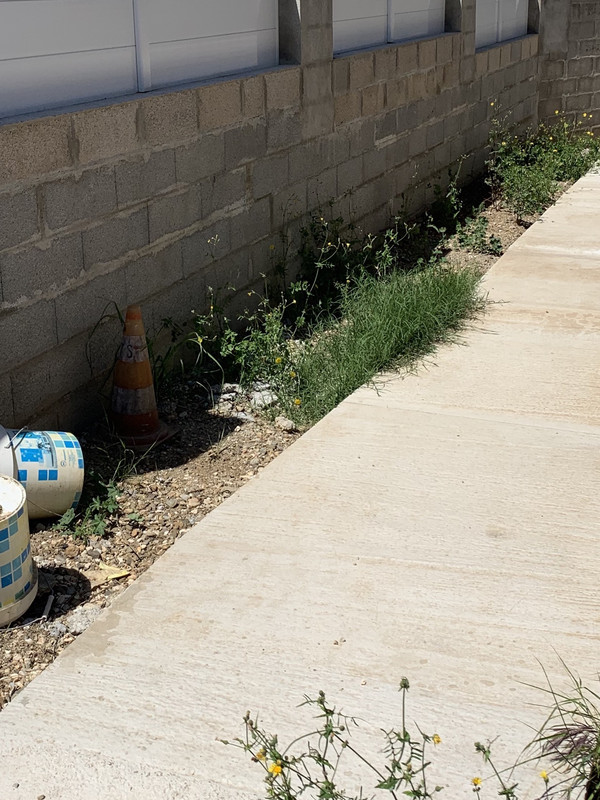 CDDC527E-7F3A-49C6-A81B-7367D1794FBB