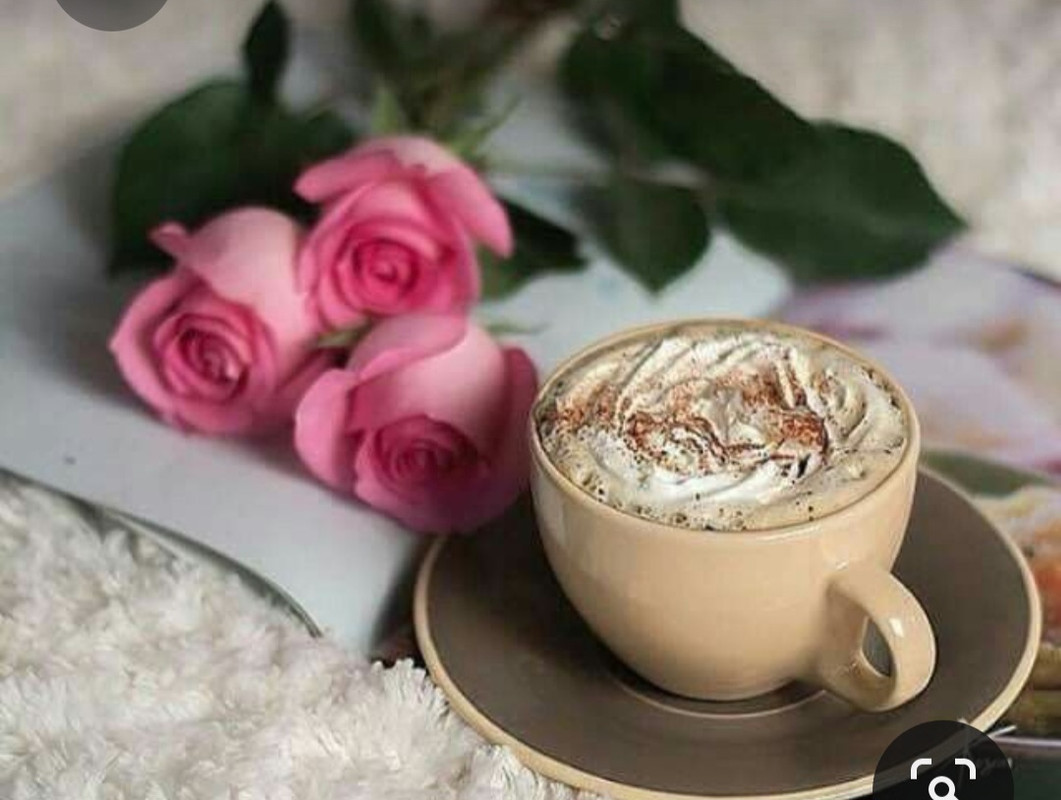 Screenshot_20230322_230411_Pinterest