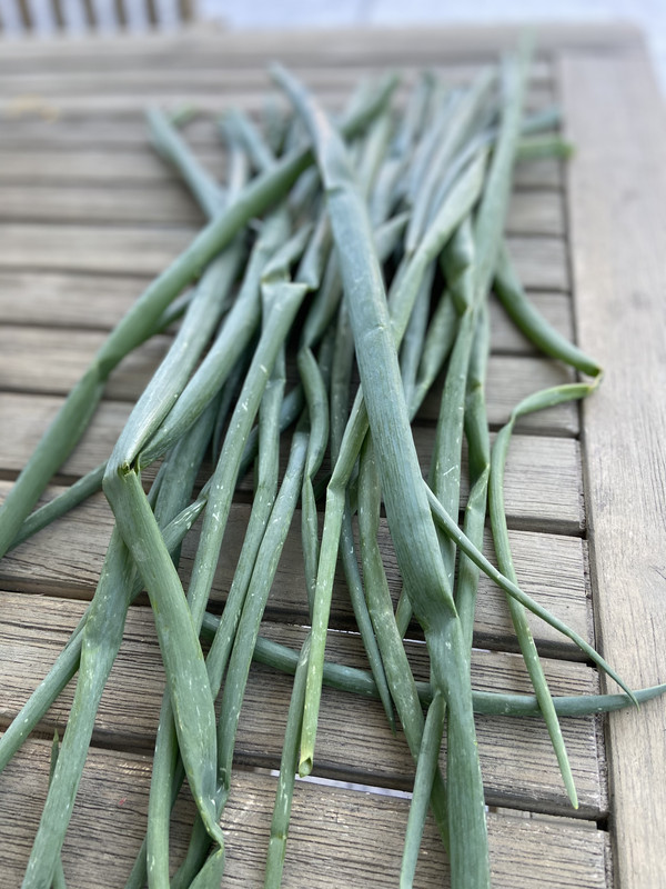 3DD8EA1C-63EE-4C3A-B930-61589077B6C3