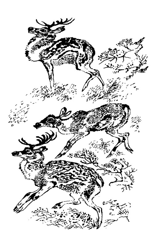 1993-page-0163