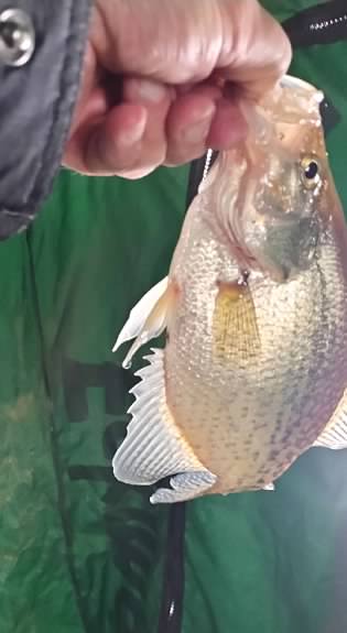 00 t K7fzfmay435sp VYq8Bk Qle WU3TA7JQt XTg Ea M6a6u 6XLy Enn Tzux OGi A0qvh LCKwg5ydw Hipy3a IZBf9d