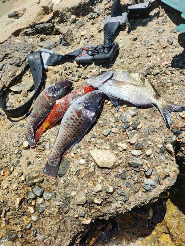 viber_image_2024-07-16_13-23-45-591