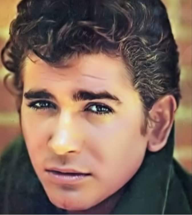 Little Joe/Michael Landon - Página 5 IMG-20191013-WA0013