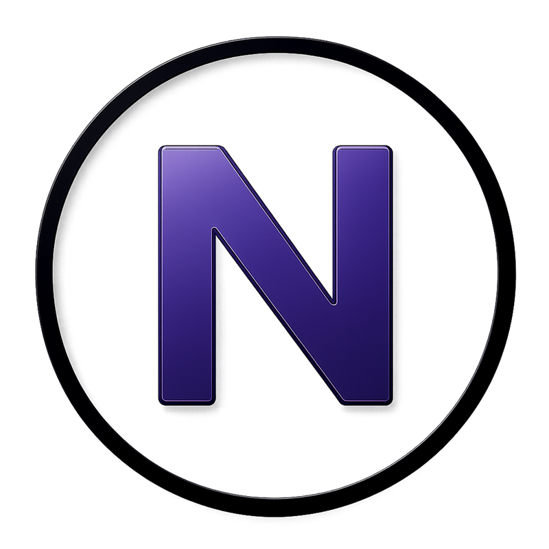 NayaNet logo