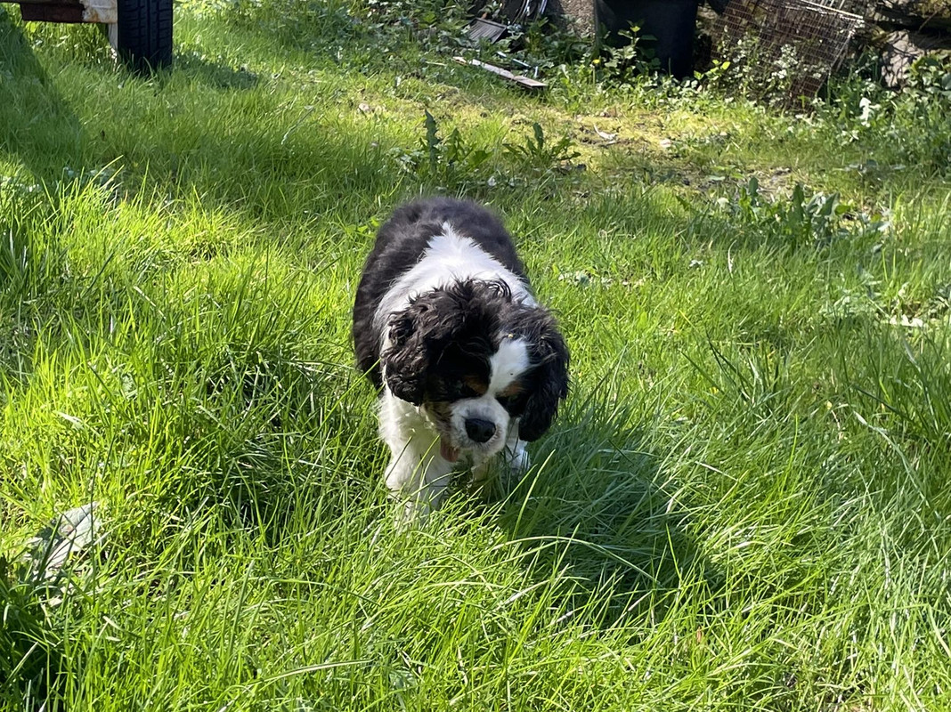 683B3D23-7F2B-4FB2-87F2-CEC394251394